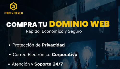 Dominio Web